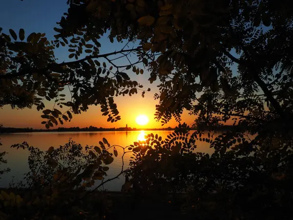 Belo raio de sol através de ramos de árvores. Belo pôr-do-sol no lago Palic, Sérvia. Um sol amarelo e laranja brilhante acima do horizonte na margem oposta é fotografado através de folhas de acácia. — Fotografia de Stock