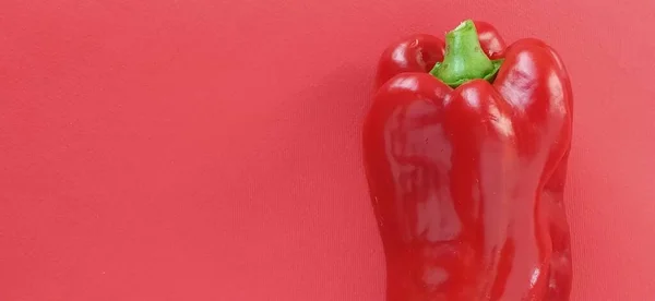 Vörös paprika paprika piros háttérrel. Egy zöldség felegyenesedve — Stock Fotó