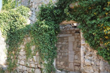 Karadağ 'daki Stari Bar' da, ziyaretçiler yemyeşil renkli antik harabelere hayran kalabiliyorlar. Geçmişin kalıntıları doğayla iç içe geçiyor, tarihin güzelliğini gösteriyor. Sarmaşıkla kaplı taş duvarlar..