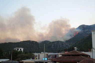 Chan, Karadağ, 11 Ağustos 2025: Deniz köyü üzerindeki dağlarda yangın. Doğal ve antropojenik orman yangını. Tehlike ateşi. Kozalaklı orman yanıyor. Sıcak kuru hava Adriyatik kıyıları Akdeniz.