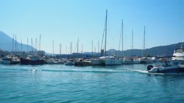 Bar, Montenegro 10 August 2025: Enjoy peaceful view of beautiful harbor. Witness boats gently bobbing in calm waters under clear blue sky, surrounded by majestic mountains. Water tourist excursion.