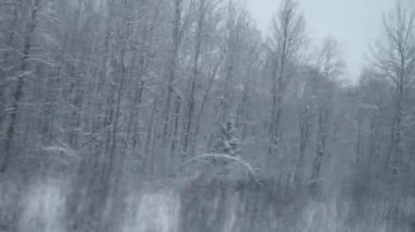 Bir tren görkemli tayga ormanlarından geçerken çarpıcı bir kış manzarasında seyahat etmek. Karla kaplı ağaçlar ve sakin manzaralar büyülü bir atmosfer yaratıyor. Demiryolu ile seyahat. Soğuk bir gün..