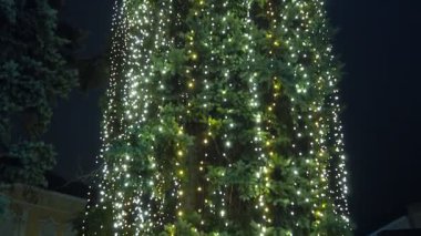 Muhteşem bir Noel ağacı açık havada duruyor, dalları parlak çelenkler ve süslemelerle süslenmiş. Yanıp sönen ışıklar bayramlarda neşeli ve büyülü bir ortam yaratır. Mutlu yıllar xmas.