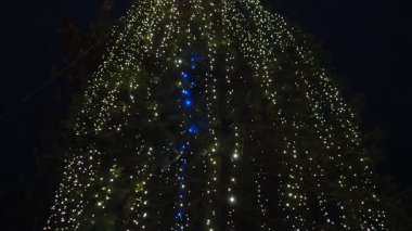 Muhteşem bir Noel ağacı açık havada duruyor, dalları parlak çelenkler ve süslemelerle süslenmiş. Yanıp sönen ışıklar bayramlarda neşeli ve büyülü bir ortam yaratır. Mutlu yıllar xmas.