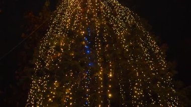 Muhteşem bir Noel ağacı açık havada duruyor, dalları parlak çelenkler ve süslemelerle süslenmiş. Yanıp sönen ışıklar bayramlarda neşeli ve büyülü bir ortam yaratır. Mutlu yıllar xmas.