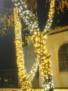Parlayan küçük ampullerden oluşan çelenkler, karanlık bir parkta ağaçta asılı duran ve sallanan. Yeni yıl ve Noel teması. Neşeli bir atmosfer. Güzel açık hava dekorasyonları. Xmas neşesi.