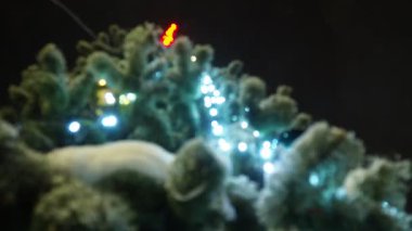 Yeni yıl süslenmiş Noel ağacı açık havada duruyor. Çelenkler, süsler, oyuncaklar, Noel topları Noel ağacını süsleyin. Kar yağıyor. Noel Gecesi. Yüksek kaliteli görüntüler