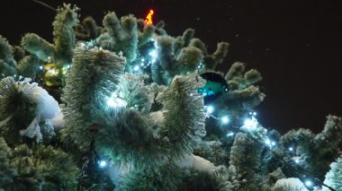 Yeni yıl süslenmiş Noel ağacı açık havada duruyor. Çelenkler, süsler, oyuncaklar, Noel topları Noel ağacını süsleyin. Kar yağıyor. Noel Gecesi. Yüksek kaliteli görüntüler