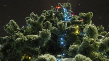 Yeni yıl süslenmiş Noel ağacı açık havada duruyor. Çelenkler, süsler, oyuncaklar, Noel topları Noel ağacını süsleyin. Kar yağıyor. Noel Gecesi. Yüksek kaliteli görüntüler