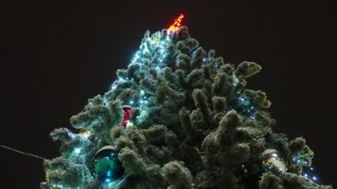 Noel ağacı ampuller ve çelenklerle parlar. Süslü Noel ağacı, Noel baloları. Kasaba meydanı şenlikli bir gecede. Şehirdeki aydınlanma. Kış havası. Yüksek kalite 4k görüntü