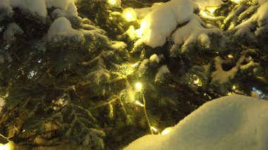 Şehir parkında sakin bir kış akşamı. Noel ağacının dalları karla kaplıdır ve Yeni Yıl 'ın sarı ışıkları parıldayan ampuller ve çelenklerle kaplıdır. Noel havası. Xmas bayramı 4k görüntü