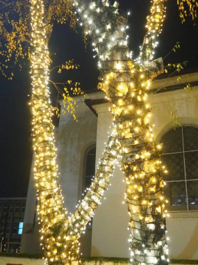 Parlayan küçük ampullerden oluşan çelenkler, karanlık bir parkta ağaçta asılı duran ve sallanan. Yeni yıl ve Noel teması. Neşeli bir atmosfer. Güzel açık hava dekorasyonları. Xmas neşesi.