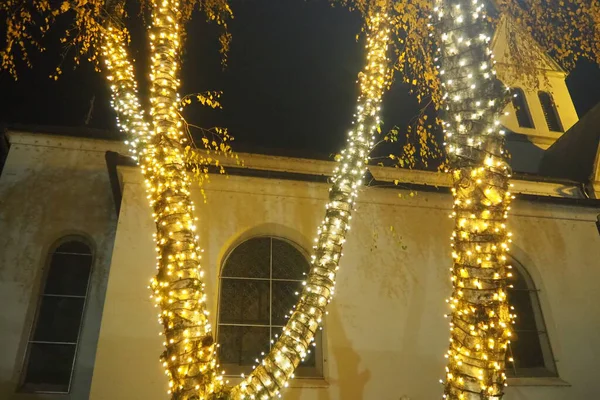 Parlayan küçük ampullerden oluşan çelenkler, karanlık bir parkta ağaçta asılı duran ve sallanan. Yeni yıl ve Noel teması. Neşeli bir atmosfer. Güzel açık hava dekorasyonları. Xmas neşesi.