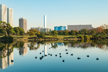 Tokyo cityscape park ile görünümünü