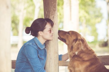 Şirin golden retriever köpek ile güzel kadın