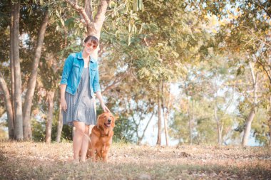 Şirin golden retriever köpek ile güzel kadın