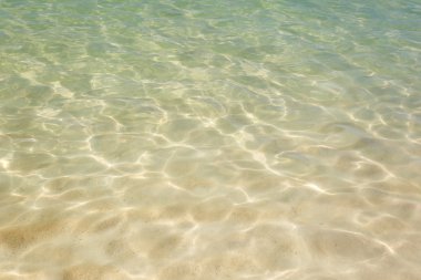 Su deniz doku arka plan 