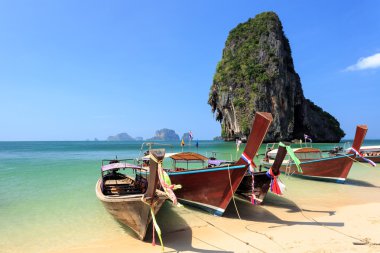 Longtale teknede plajda