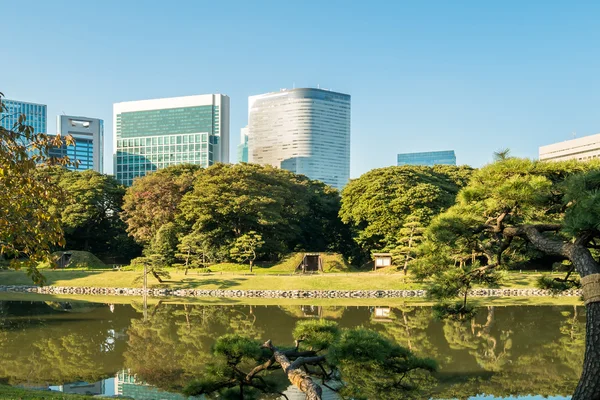 Vista da paisagem urbana de tokyo com parque — Fotografia de Stock