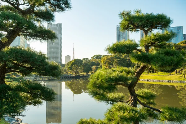 Utsikt över tokyo stadsbilden med park — Stockfoto