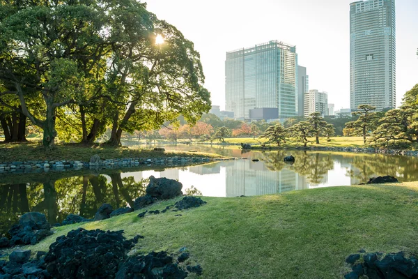 Utsikt över tokyo stadsbilden med park — Stockfoto