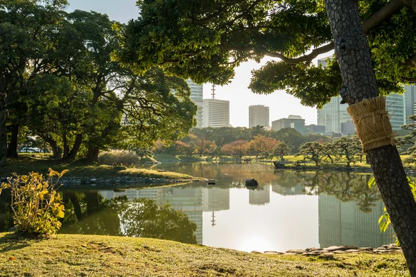 Vista del paisaje urbano de tokyo con parque — Foto de Stock