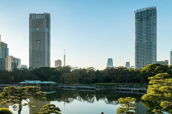 公園と東京の街並の眺め — ストック写真