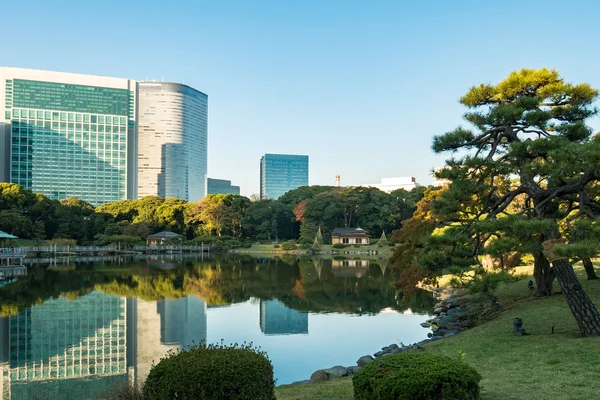 Utsikt över tokyo stadsbilden med park — Stockfoto