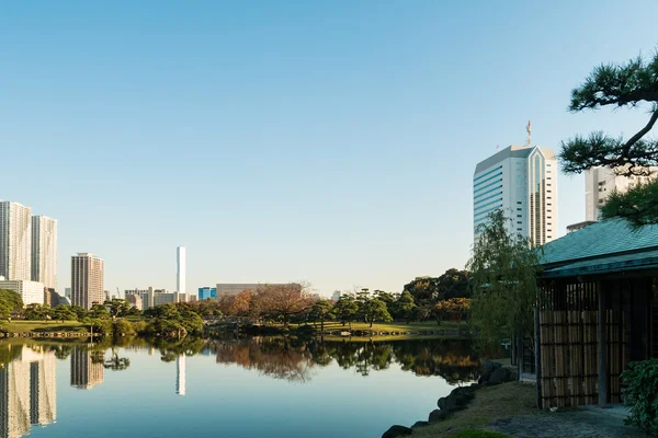 Vista da paisagem urbana de tokyo com parque — Fotografia de Stock