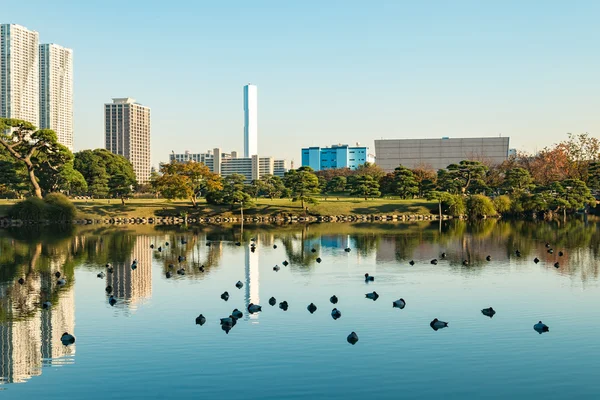 Vista da paisagem urbana de tokyo com parque — Fotografia de Stock