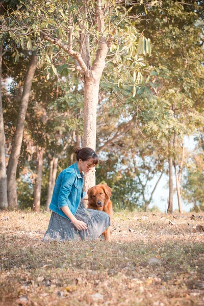Szép nő, egy aranyos golden retriever kutya — Stock Fotó