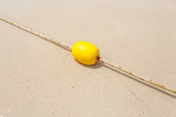 Boa gialla sulla spiaggia — Foto Stock