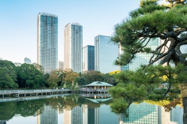 Tokyo-28 Kasım 2015: Tokyo cityscape park, Capa ile görünümünü