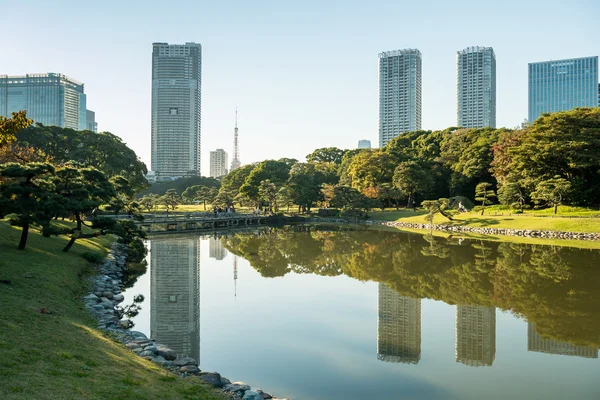 TOKYO- NOVEMBRO 28 2015: Vista da paisagem urbana de tokyo com parque, Japa — Fotografia de Stock