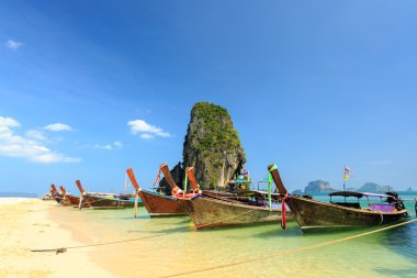 Longtale tekne sahilde