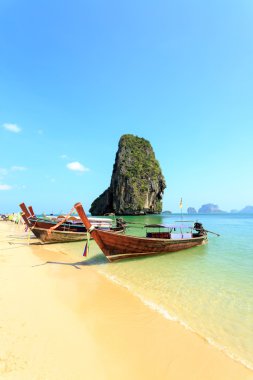 Longtale tekne sahilde