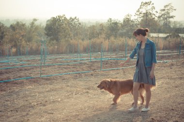 Golden retriever köpek ve güzel kadın