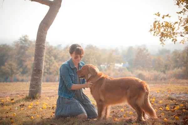 Golden retriever köpek ve güzel kadın