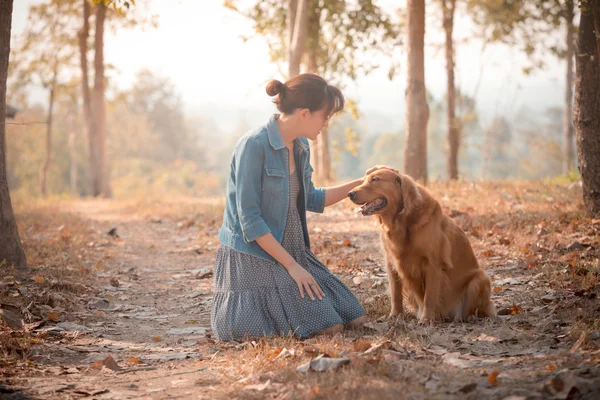 Golden retriever köpek ve güzel kadın