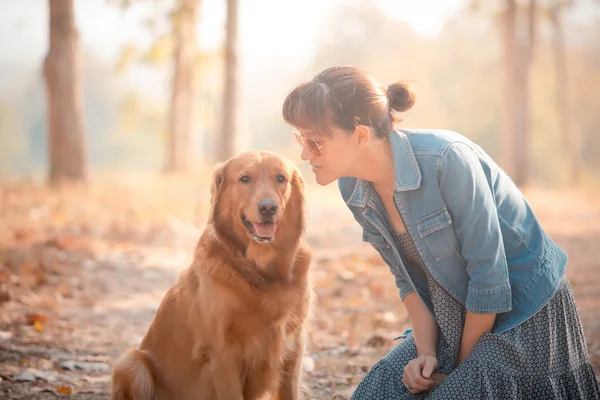 Golden retriever perro y hermosa mujer — Foto de Stock