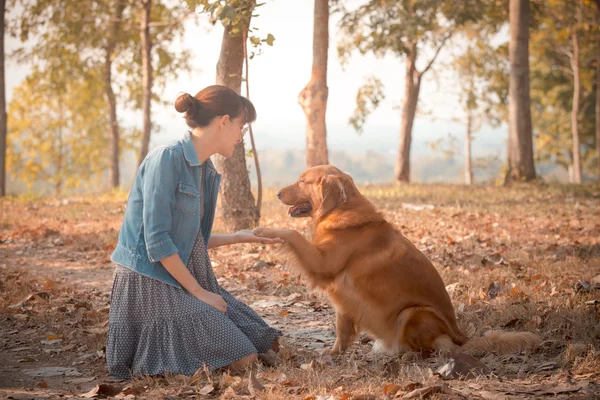 Golden retriever cão e mulher bonita — Fotografia de Stock