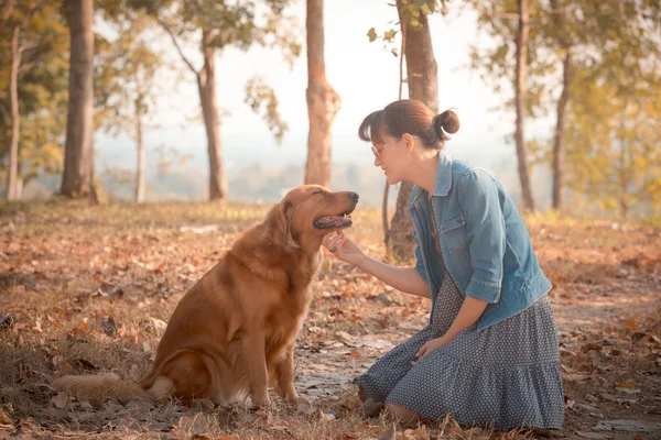 Golden retriever pies i piękna kobieta — Zdjęcie stockowe