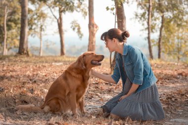 Şirin golden retriever köpek ile güzel kadın