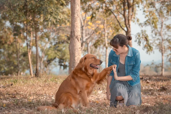 Hermosa mujer con un lindo perro golden retriever — Foto de Stock