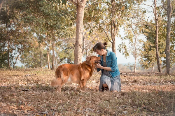 Piękna kobieta z psem ładny złoty pies myśliwski — Zdjęcie stockowe