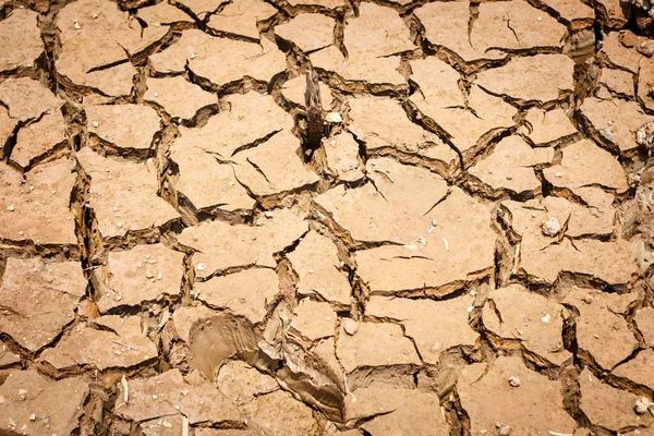 Tierra seca agrietada sin agua —  Fotos de Stock