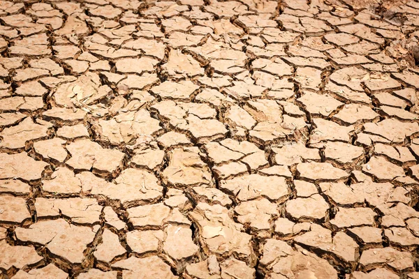 Sprucken torr mark utan vatten — Stockfoto