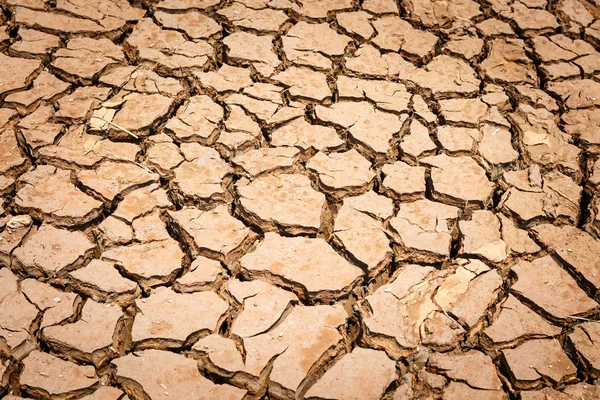 Tierra seca agrietada sin agua —  Fotos de Stock