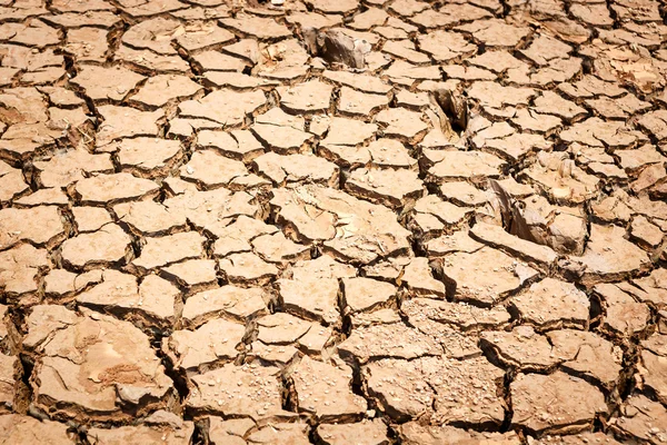 Tierra seca agrietada sin agua —  Fotos de Stock