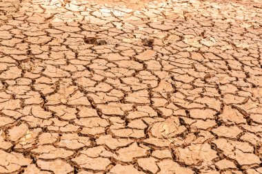 Kurumuş topraklar susuz.